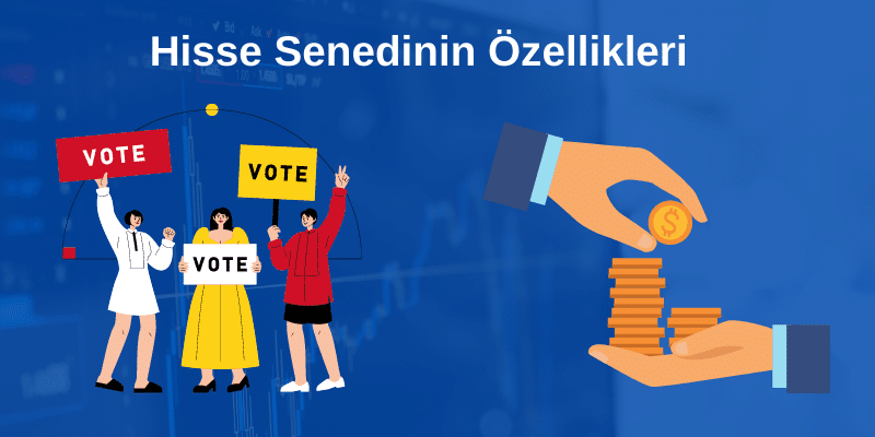 Hisse Senetlerinin Özellikleri