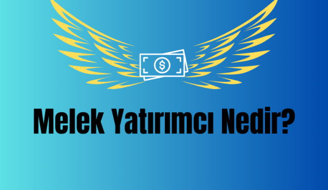 Melek Yatırımcı Nedir Nasıl Bulunur