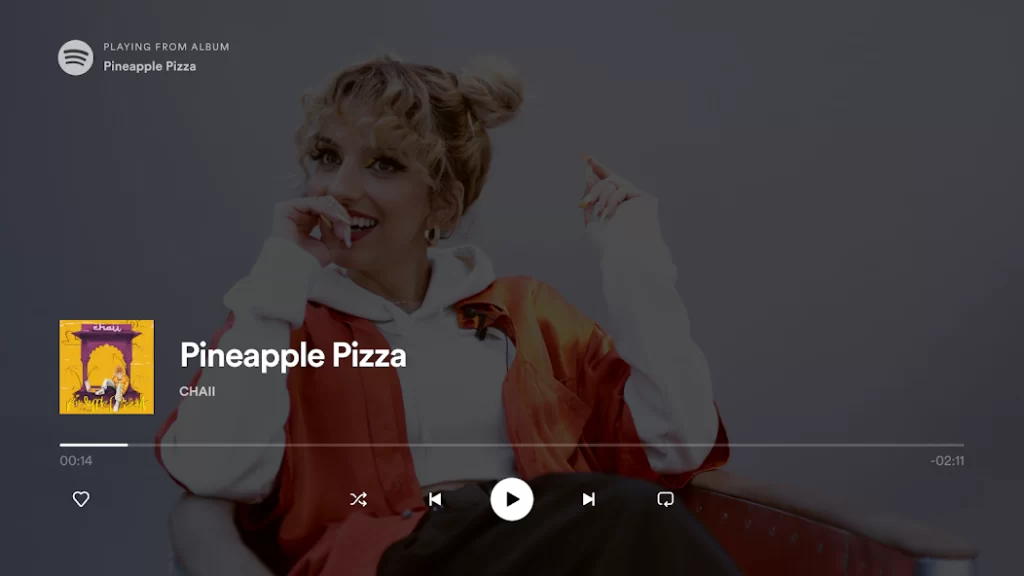 Android Tv Uygulamaları - Android Spotify-android tv uygulaması