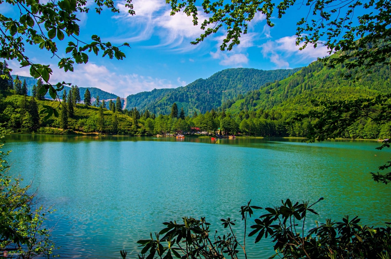 Borçka Karagöl-Artvin karadenizde gezilecek rotalar